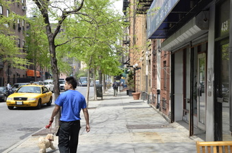 Enlarge photo 5