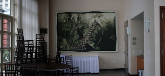 Enlarge photo 21