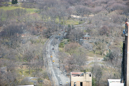 Enlarge photo 67