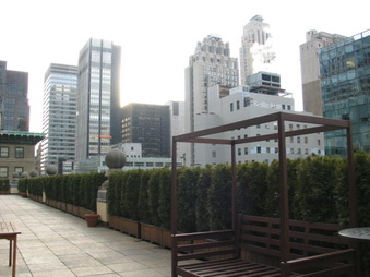 Enlarge photo 40