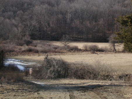Enlarge photo 24