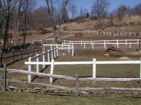 Enlarge photo 30