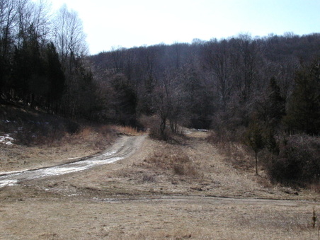 Enlarge photo 33