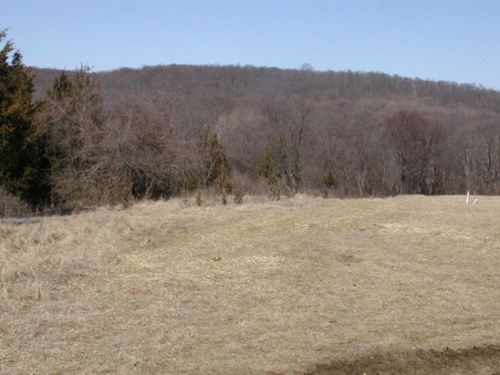 Enlarge photo 34
