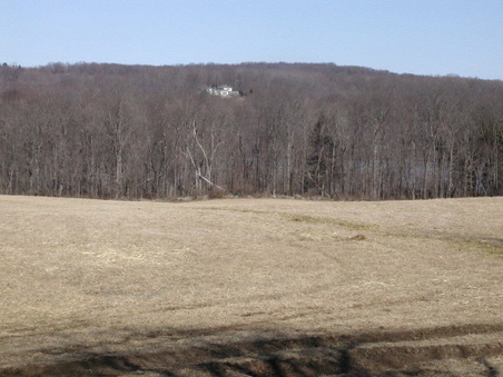 Enlarge photo 35