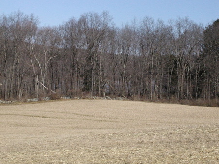 Enlarge photo 37
