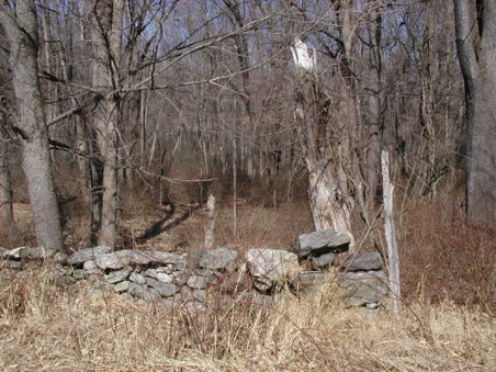 Enlarge photo 39