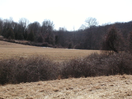 Enlarge photo 40