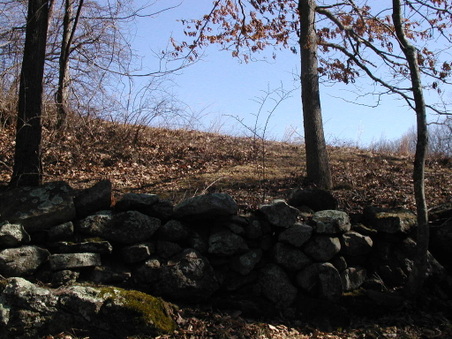 Enlarge photo 42