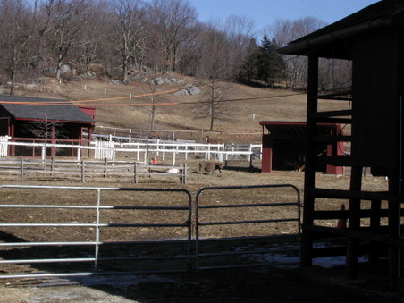 Enlarge photo 43