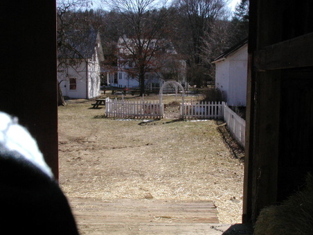 Enlarge photo 45
