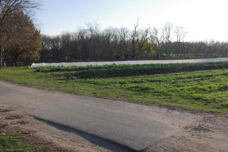 Enlarge photo 5