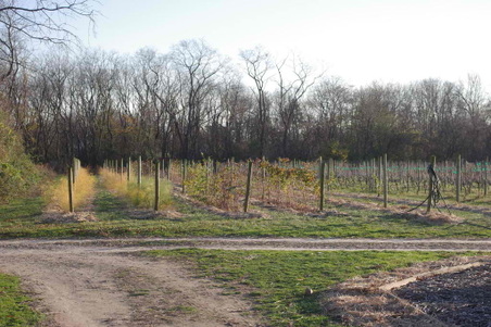 Enlarge photo 24