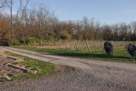 Enlarge photo 25