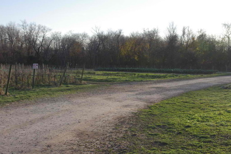 Enlarge photo 26
