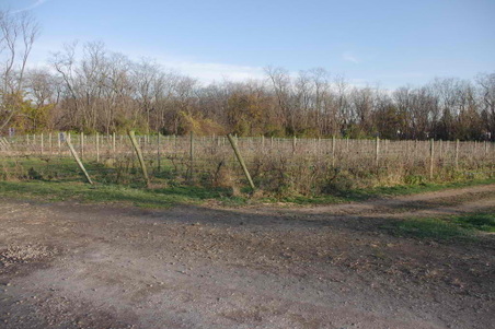 Enlarge photo 28