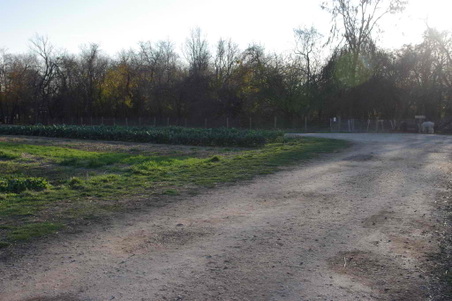 Enlarge photo 30