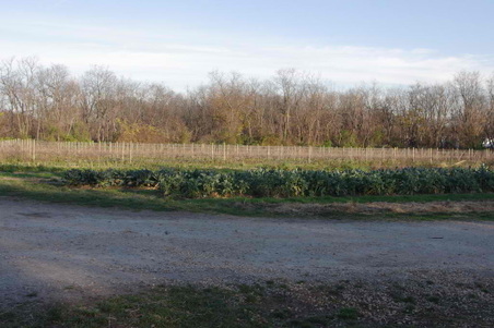 Enlarge photo 31