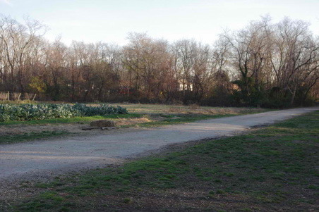 Enlarge photo 32