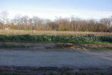 Enlarge photo 33