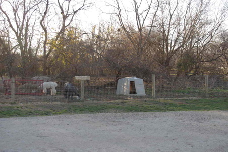 Enlarge photo 35