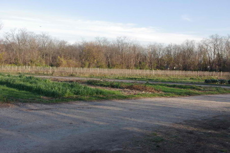 Enlarge photo 37