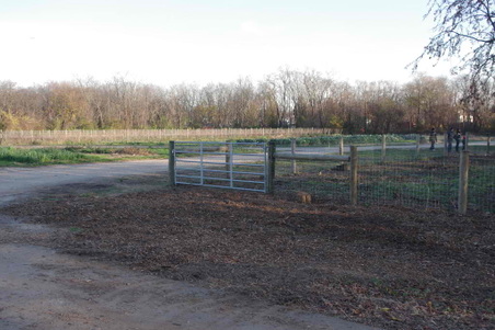 Enlarge photo 38