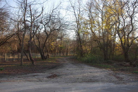Enlarge photo 40