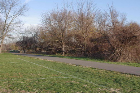 Enlarge photo 45