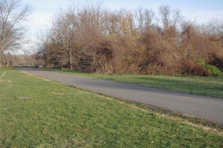 Enlarge photo 47