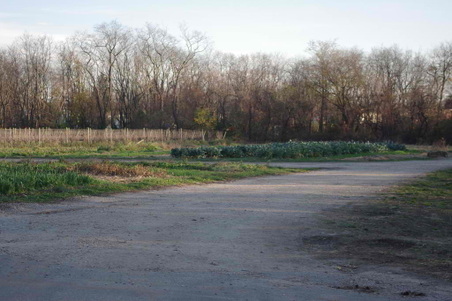 Enlarge photo 51
