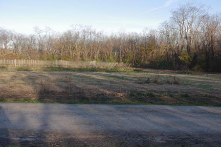 Enlarge photo 52