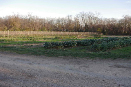 Enlarge photo 53
