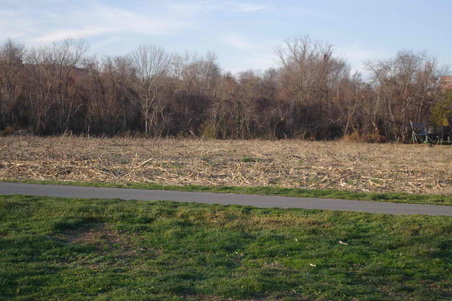 Enlarge photo 54
