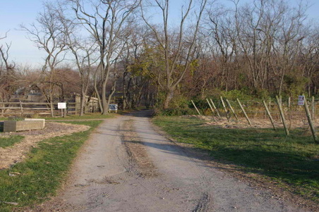 Enlarge photo 55