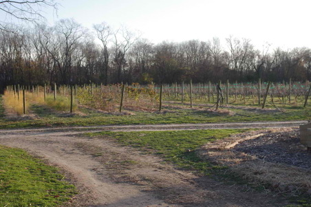 Enlarge photo 56