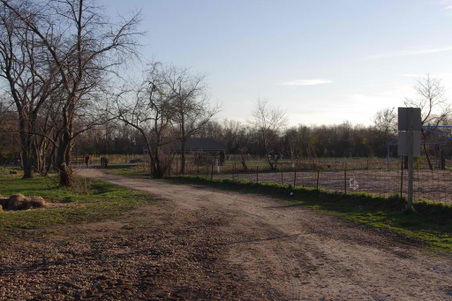 Enlarge photo 58