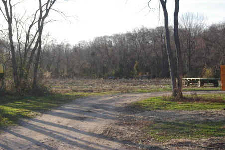 Enlarge photo 59