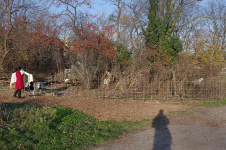 Enlarge photo 60