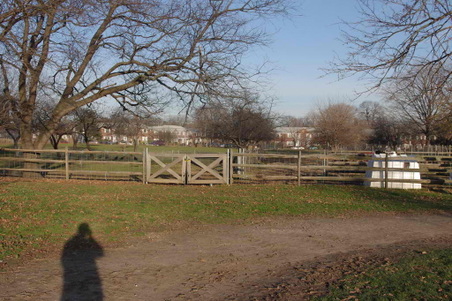 Enlarge photo 61