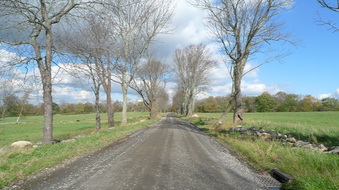Enlarge photo 2