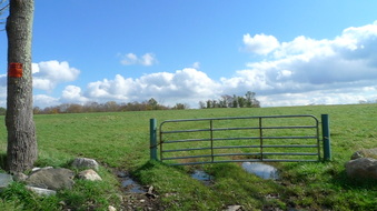 Enlarge photo 5