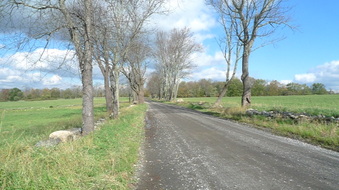 Enlarge photo 7