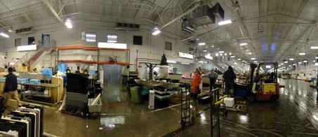 FISH MARKETS