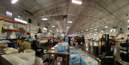 Enlarge photo 3