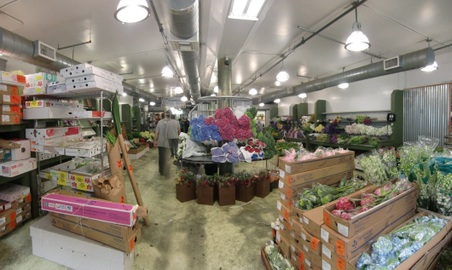 FLOWER SHOPS AND GARDEN CENTERS