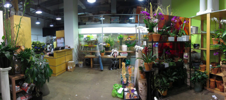 Enlarge photo 9