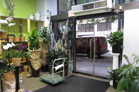 Enlarge photo 10