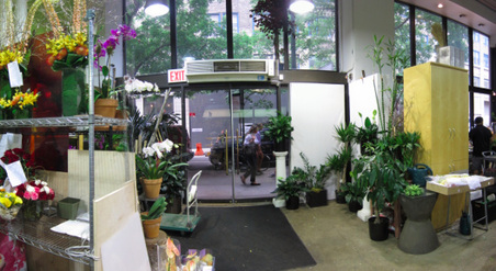 Enlarge photo 11