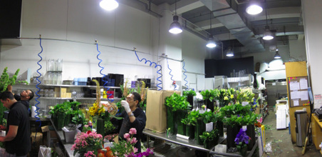 Enlarge photo 16